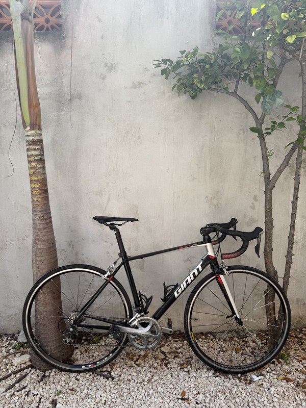 Giant Defy Endurance Road foto 2