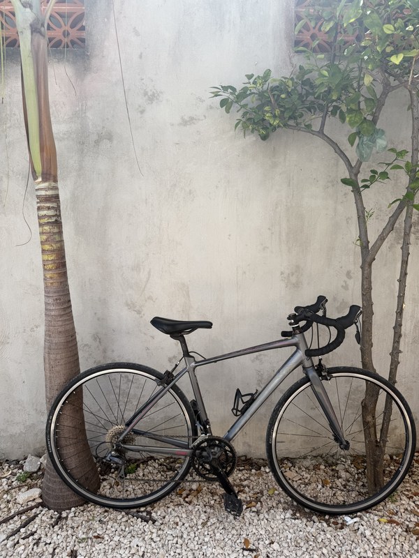 Liv Avail Road Endurance foto 2