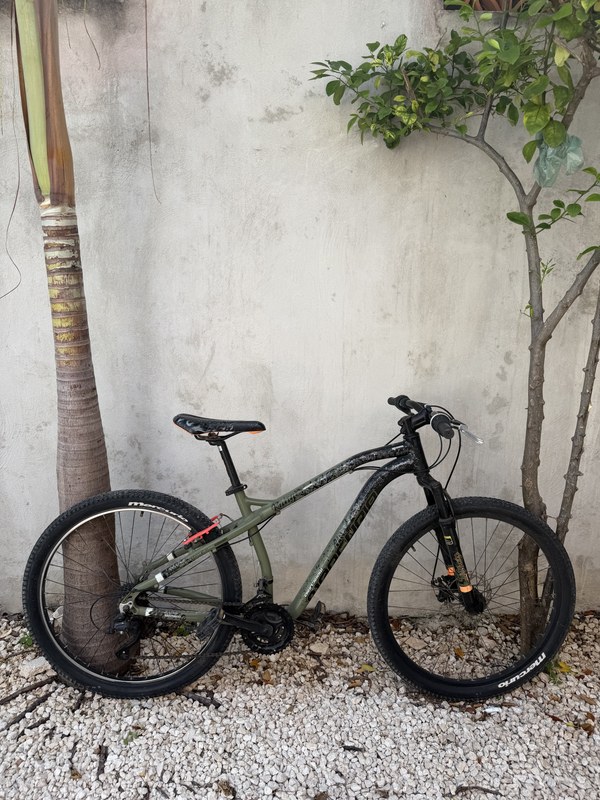 Mercurio Ranger 27.5 Sport foto 2