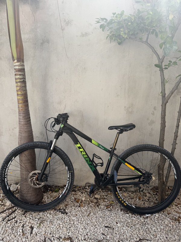Trinx Quest M100 R29